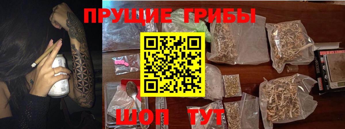 Псилоцибиновые грибы MAGIC MUSHROOMS Новошахтинск